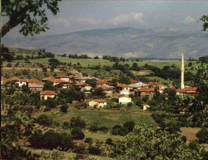 adalikuzu K�y�