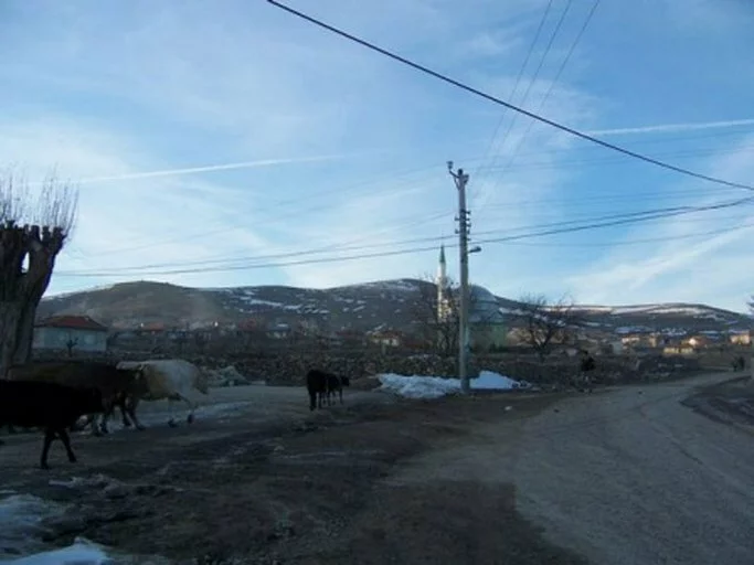 agzikara K�y�