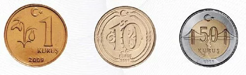 Yeni T�rk Liras� 2009