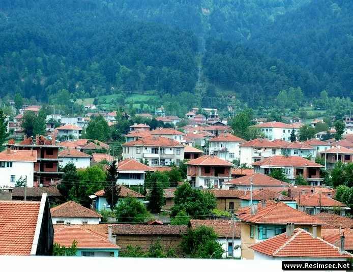�anakkale Yenice