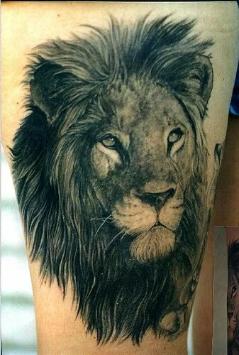 Aslan D�vme