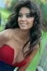Asl� Temel