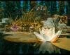 Nil�fer