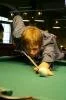 bilardo