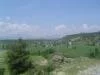 Adana imamo�lu