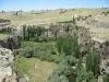 Aksaray G�zelyurt