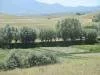 Aksaray G�zelyurt