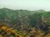 bing�l