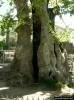 Burdur A�lasun
