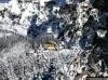 �ank�r� Ilgaz