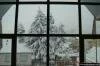 D�zce Kayna�l�