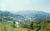 Giresun G�ce