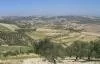 Hatay Alt�n�z�