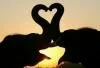 Ask ve Sevgi