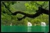 Do�a