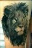 Aslan D�vme